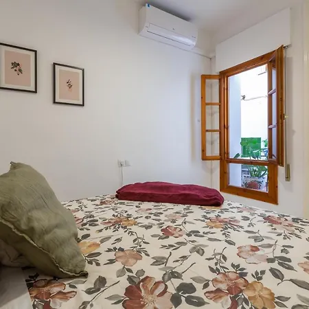 Apartment Bright With Patio And Balconies In The Center Málaga